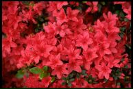 Іванна Мосійчук фотография #50 (источник - https://vk.com/id149078010)