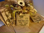 Фотография Гриднева Диана