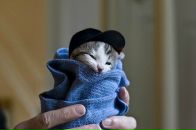 Фотография Хохлова Артёма