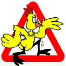 Фотография Латышевой Анны