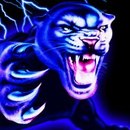 Вадім Криволап фотография #41 (источник - https://vk.com/id162707548)