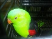 Фотография Ремезовой Любови