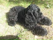 Фотография Дедовой Людмилы