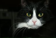 Фотография Лениной Анны