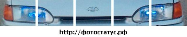 Віталік Янкович фотография #44 (источник - https://vk.com/id35243198)