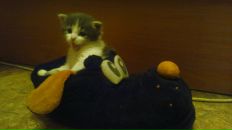 Фотография Маториной Наталии