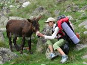 Леся Твердохліб фотография #50 (источник - https://vk.com/id6350356)