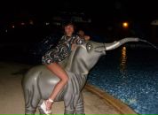 Фотография Албердиной Наташи