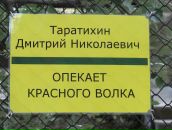 Маруся Горина фотография #45 (источник - https://vk.com/id155172)