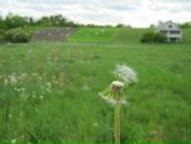 Оля Павліченко фотография #20 (источник - https://vk.com/id80105642)