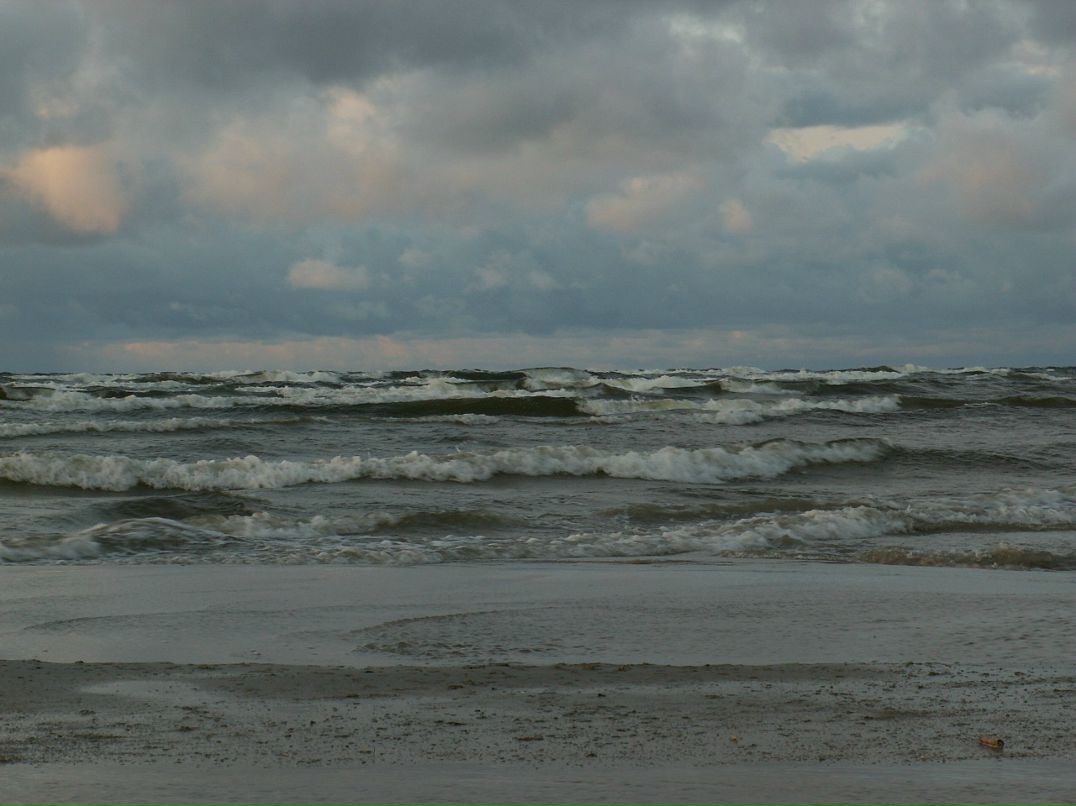 Сергей Левашев фотография #4