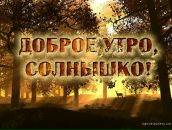 Фотография Дорофеева Владимира