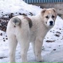 Анна Міляєва фотография #1