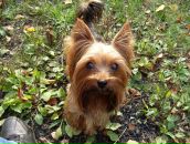 Фотография Соловьевой Дарьи