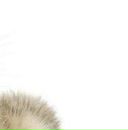 Марія Козак фотография #18 (источник - https://vk.com/id148871802)