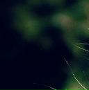 Марія Козак фотография #10 (источник - https://vk.com/id148871802)