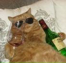 Фотография Фёдорова Виктора