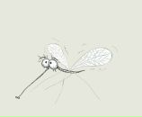 Фотография Винник Марины