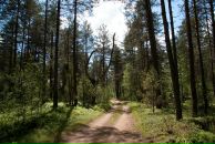 Павел Волк фотография #16 (источник - https://vk.com/id470503)