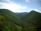 Фотография Орлова Андрея