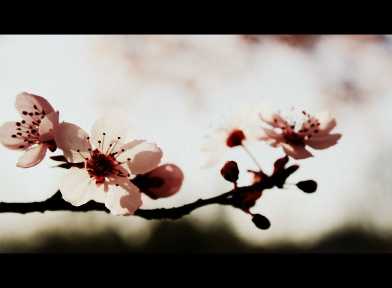 Jane Babenko фотография #17