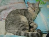 Фотография Кухаревского Сергея